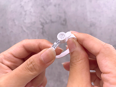 Step 2 magnifying
buckle to form a ring shape