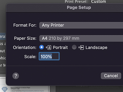 Step 2 Print out this page at 100%